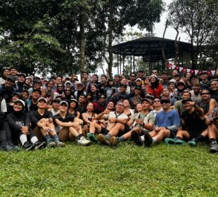 Hidden Tracks New Balance